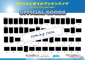 fix【SHY】ワンマングッズ＿生写真B